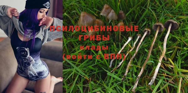 дживик Баксан