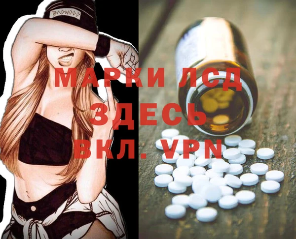 индика Балабаново