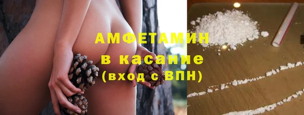 индика Балабаново