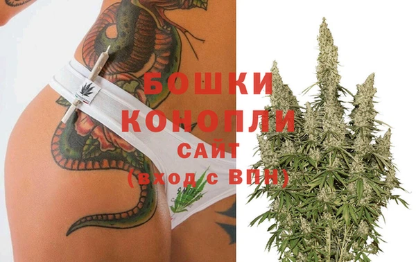 индика Балабаново