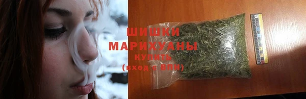 индика Балабаново