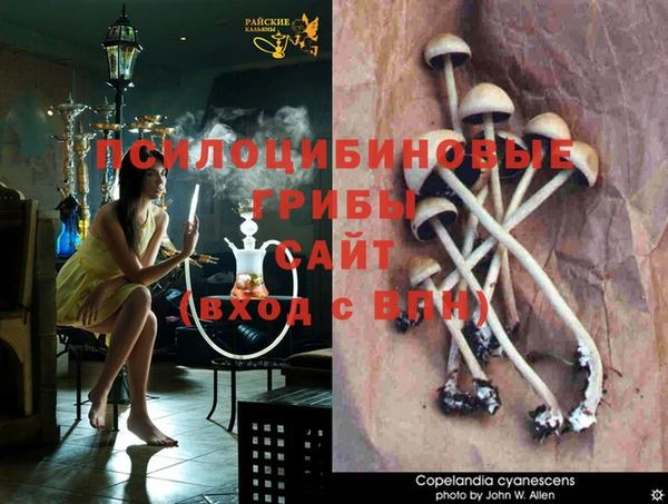 индика Балабаново