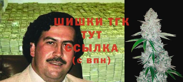 молекула духа Рославль